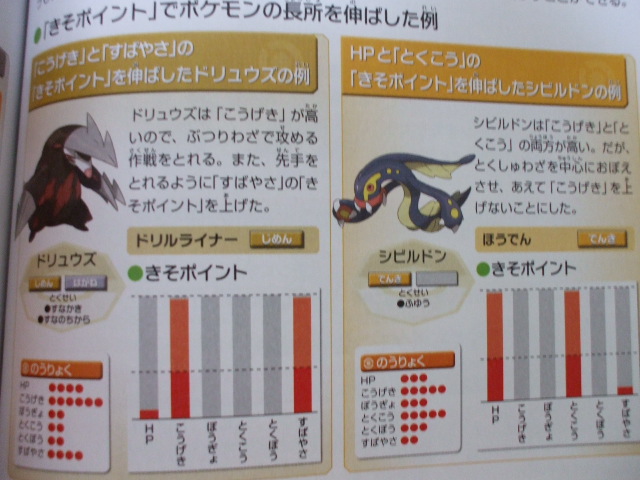 guide doryuuzu shibirudon