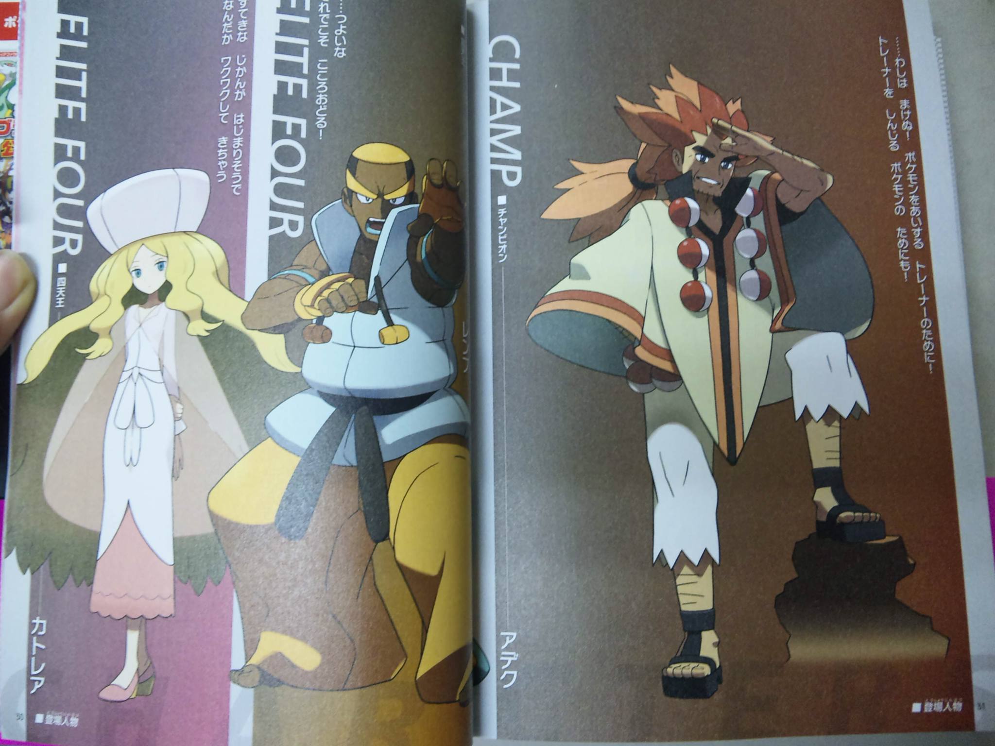 guide elite four