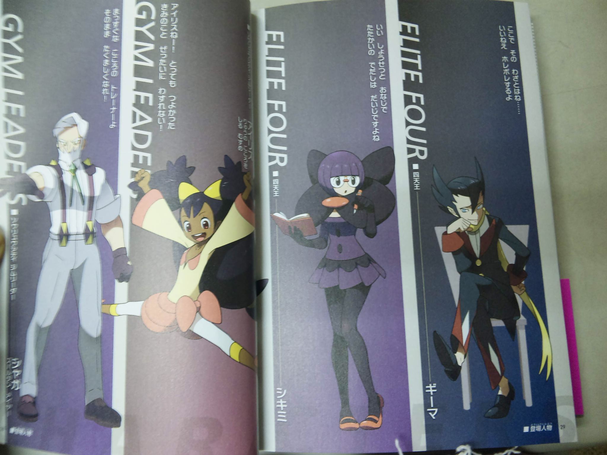 guide gym leaders 2