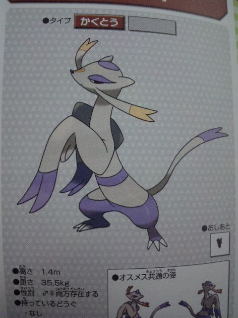 guide kojondo