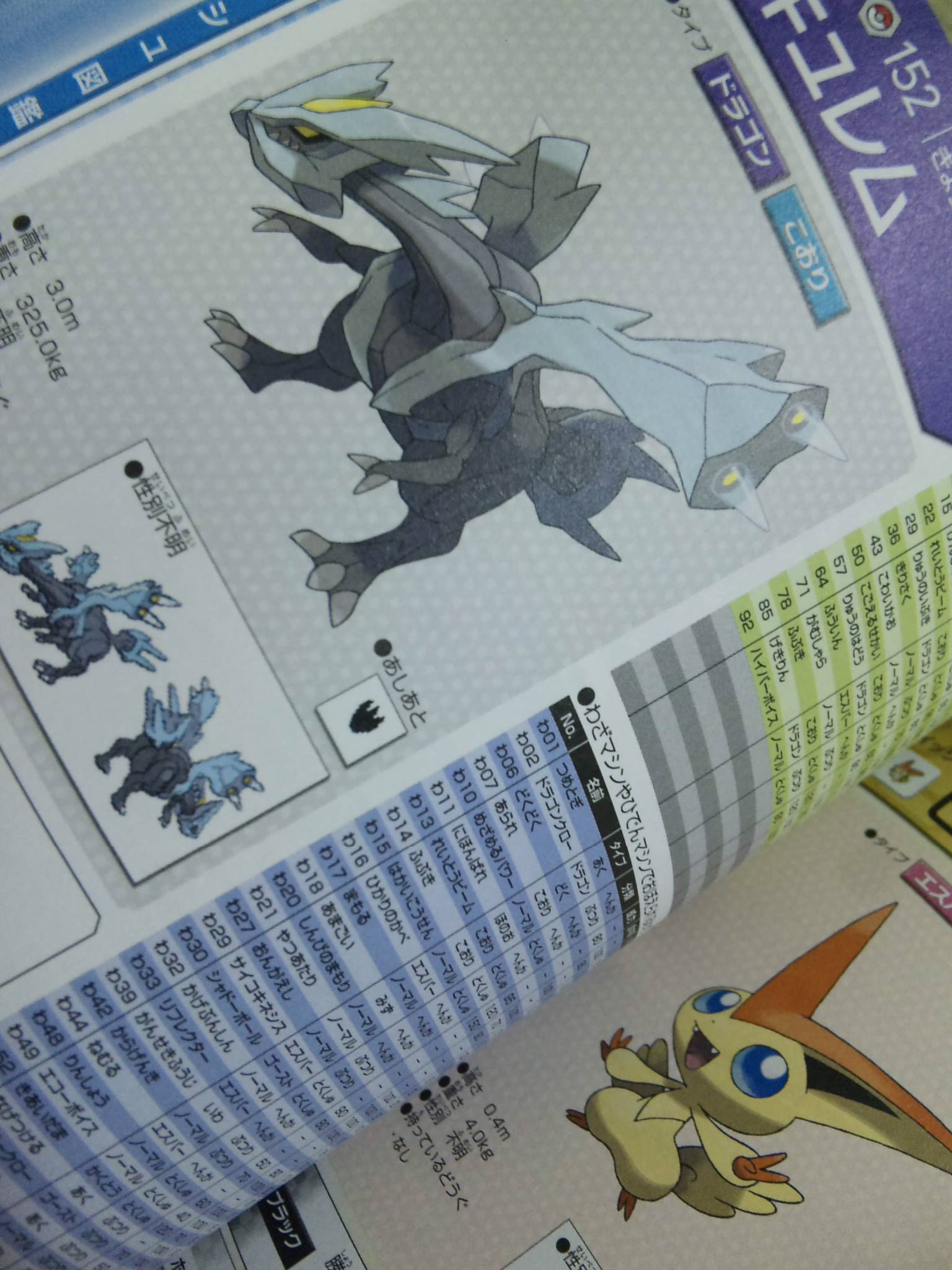 guide kyurem
