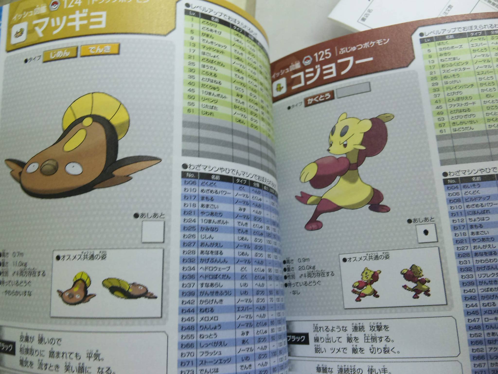guide maggyo kojofuu