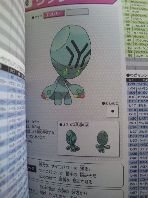 guide rigray