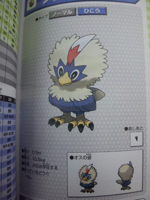 guide washibon