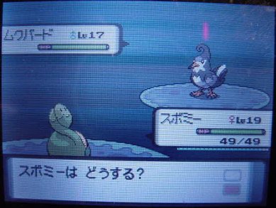 Pokémon DP, Líderes de Gimnasio, Medallas & MOs Revelados