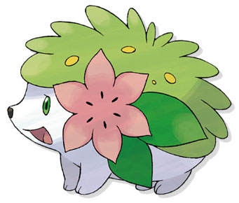 Art Work de Shaymin Revelado