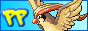 Pokemon Pidgeot