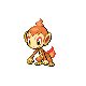 Chimchar