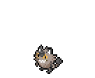 Meowth de Galar