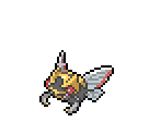 Ninjask