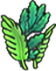 Algas frondosas