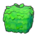 Arbusto (cualquiera)