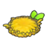 Asiento de hojas secas