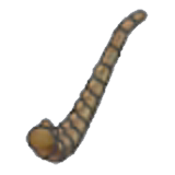 Cola de fósil alado