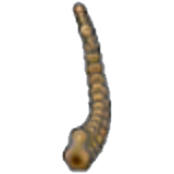 Cola de fósil tundra