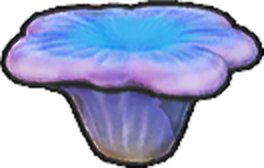 Coral pequeño