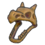 Cráneo de fósil alado