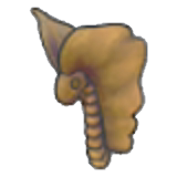 Cráneo de fósil tundra