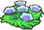 Flores marinas