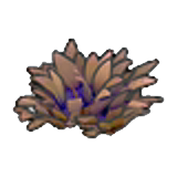 Hierba alta verde seca