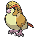 Pokémon Pidgeot - PokopiaDex