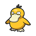 Pokémon Psyduck - PokopiaDex