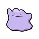 Pokémon Ditto - PokopiaDex