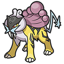 Pokémon Raikou - PokopiaDex
