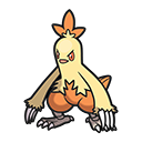 Pokémon Combusken - PokopiaDex