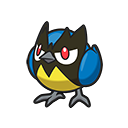 Pokémon Rookidee - PokopiaDex