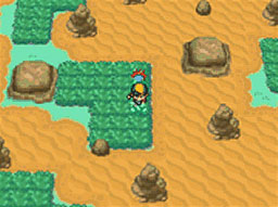 Zona Safari (Safari Zone) - Guía Pokémon HeartGold y SoulSilver