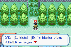 PokExtraS: Información Extra de Rojo Fuego/Verde Hoja