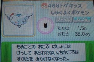 Más Pokémon, Sigue la actualización!