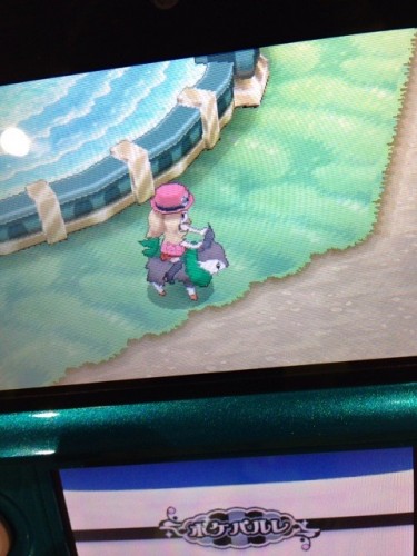pokemon xy 11