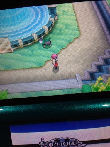 pokemon xy 12