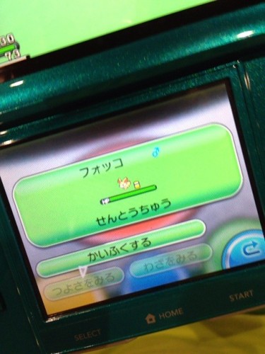 pokemon xy 13