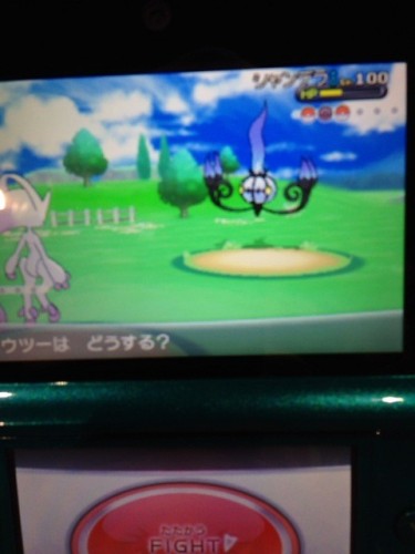 pokemon xy 17