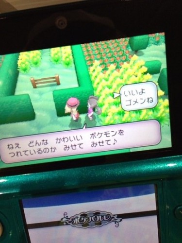 pokemon xy 8