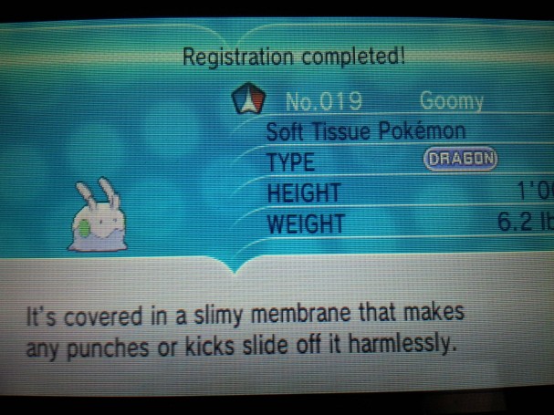 Goomy 2