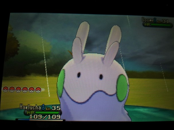 Goomy