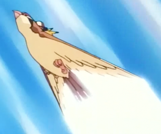 pidgeot