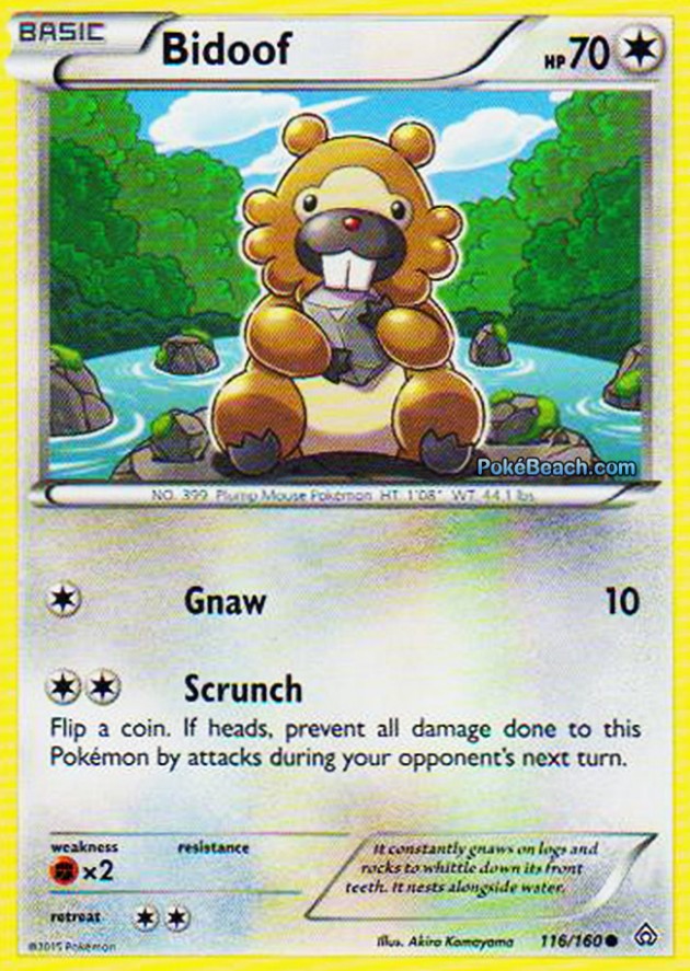 bidoof