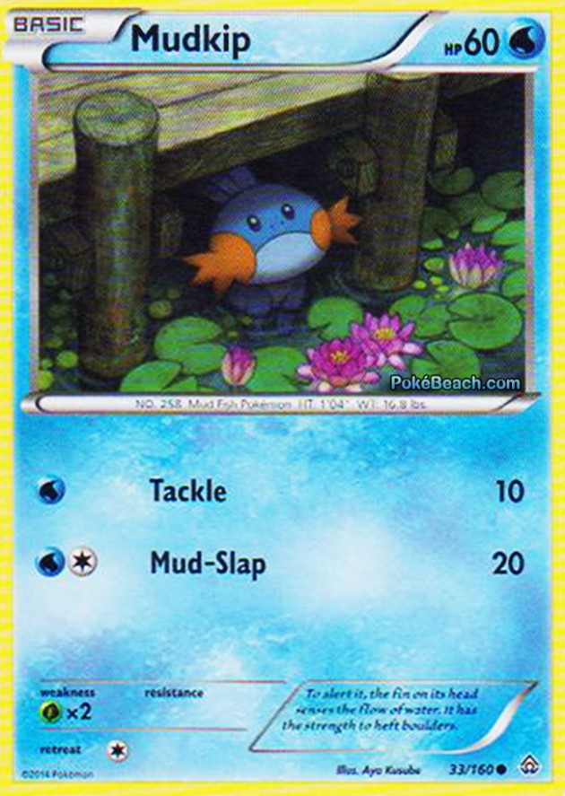 mudkip