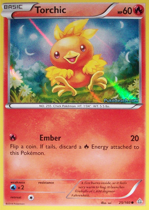 torchic