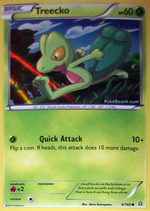 treecko