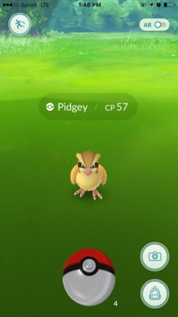 Pidgey Ra Desactivado