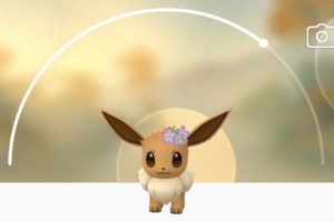 Eevee con corona de flores será el próximo logro de investigación de Pokémon GO