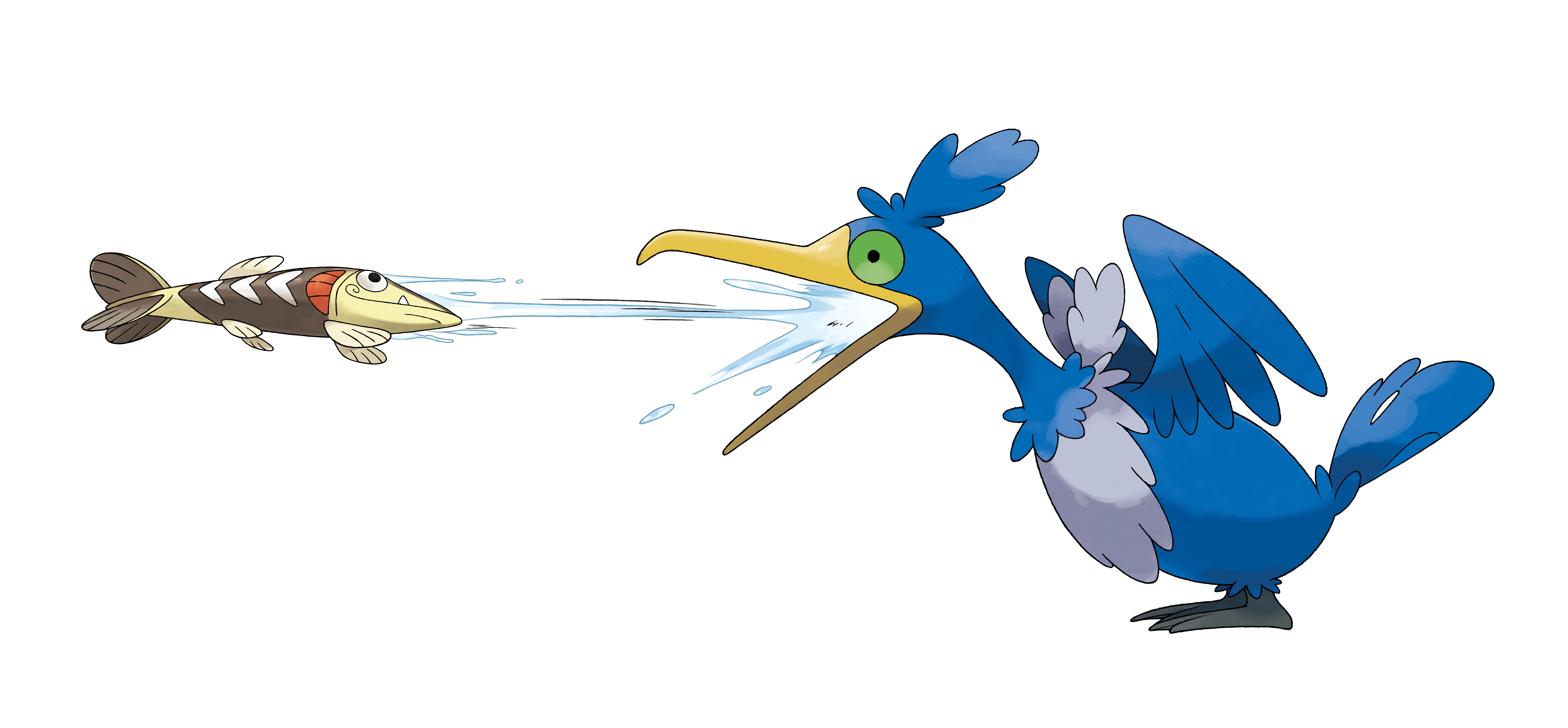 Cramorant 02 Artwork Pokemon Swsh