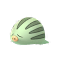 220 Swinub Shiny Pokemon Go