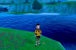 Diglett Alola Bahia Circular 04